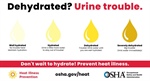 Heat resources are available at the following links: https://www.osha.gov/heat 
https://www.cdc.gov/disasters/extremeheat/warnin...