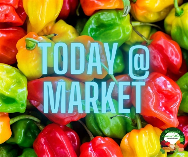 We will see you tonight at the Washington Farmers' Market!