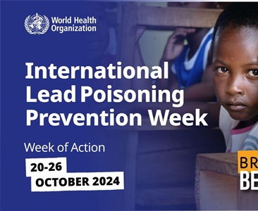 20-26 October 2024 is International Lead Poisoning Prevention Week!