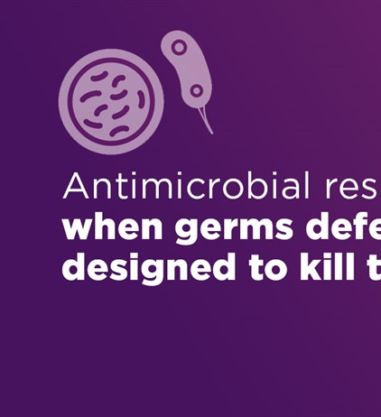 Antibiotic and antifungal drugs are valuable tools for treating infections, but any time they are used they can cause side effec...