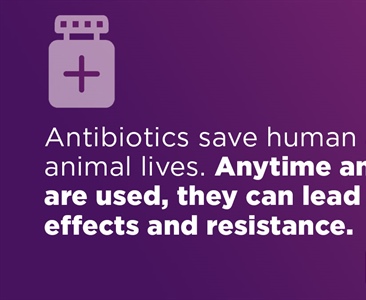 DYK that animals, including our pets and livestock, can carry germs that can spread and contribute to #AntimicrobialResistance (...