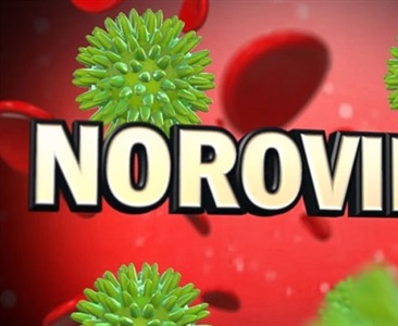 🚨 Norovirus Alert: Stay Healthy Returning to School!
