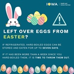 Left over eggs from Easter?