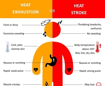 ☀️🔥 Stay Safe in the Heat!