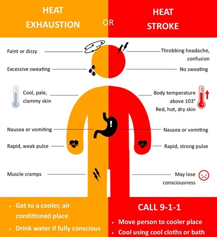 ☀️🔥 Stay Safe in the Heat!