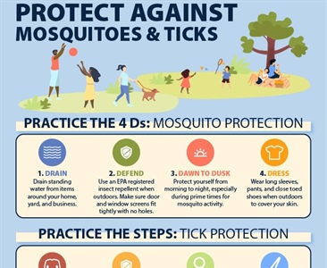 🦟💦 Did you know?