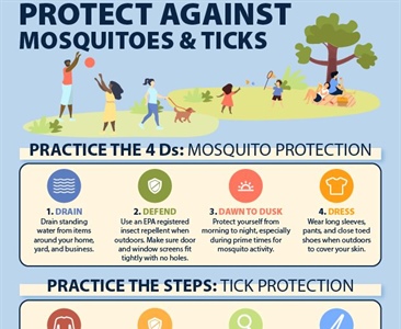 🦟Fight the Bite — Protect Yourself from Mosquitoes!