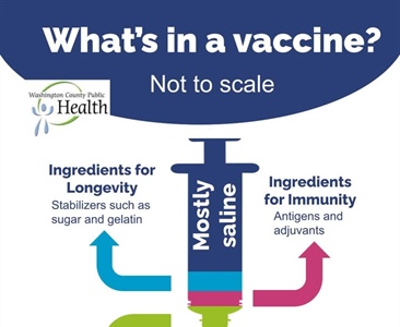 Being informed about vaccines means knowing that ingredients like gelatin and aluminum aren’t scary—they’re there for specific, ...