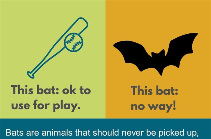 Pest consumption is one of the many ecosystem services bats perform!