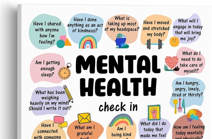 Mental Health Check-In💙🧠