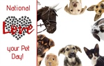 🐾 National Love Your Pet Day 🐾