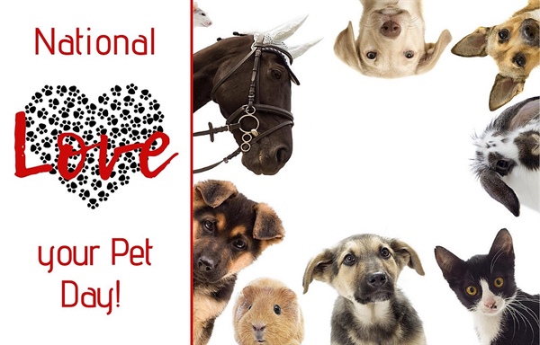 🐾 National Love Your Pet Day 🐾