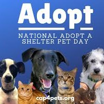 Photos from Washington County Public Health's post