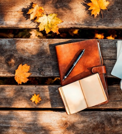 🍂🍁October is the Perfect Time for Fall Planning!🍁🍂