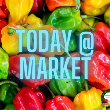 We will see you tonight at the Washington Farmers' Market!