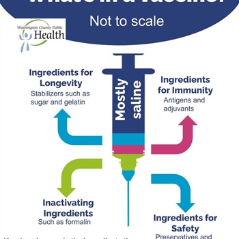 Being informed about vaccines means knowing that ingredients like gelatin and aluminum aren’t scary—they’re there for specific, ...