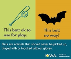 Photos from Washington County Public Health's post