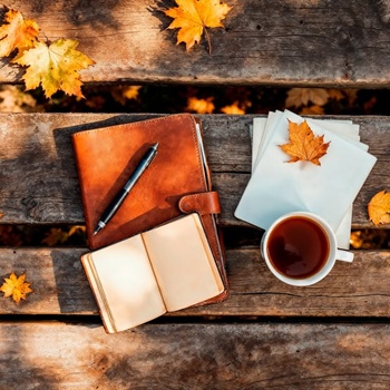 🍂🍁October is the Perfect Time for Fall Planning!🍁🍂
